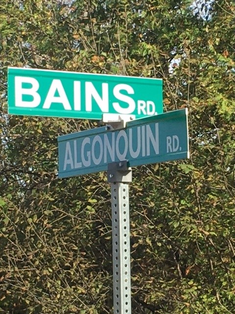 Bains Road and Algonquin Road street signs