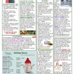 Augusta Quarterly newsletter - winter 2021 edition