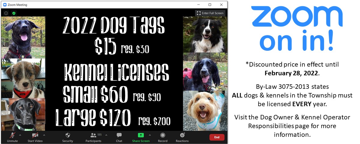 Last Day for Discounted Dog & Kennel Licenses @ Township Office | Ontario | Canada