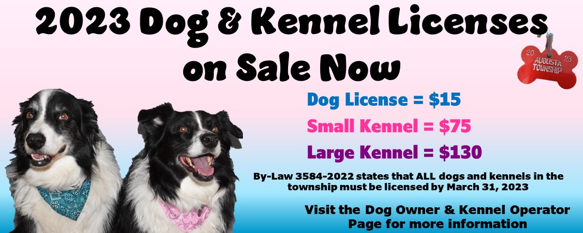 2023 dog & kennel licenses on sale now