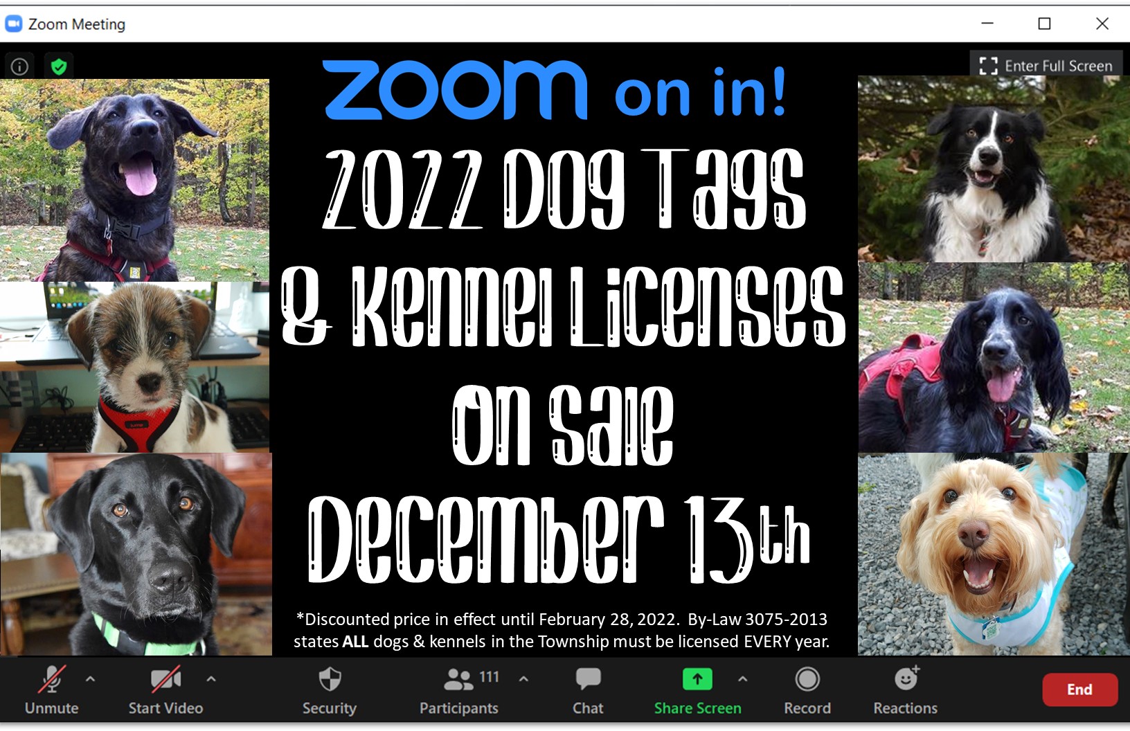 2022 dog tags and kennel licenses on sale december 13th