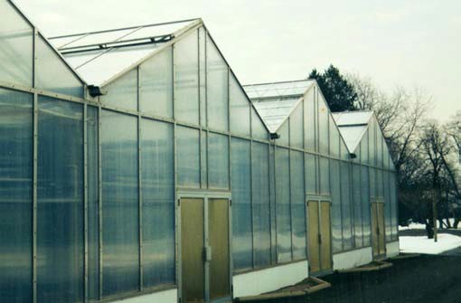Figure 5. Surface Water Drained Off Greenhouse Roofs Has Been Collected Into Eavestroughs, So It Must Be Taken To A Sufficient Outlet.