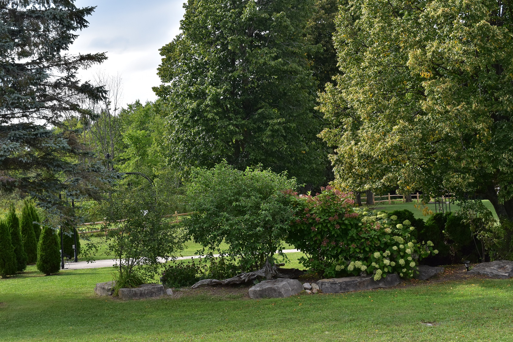 garden with trees, shrubs, flowers and rocks