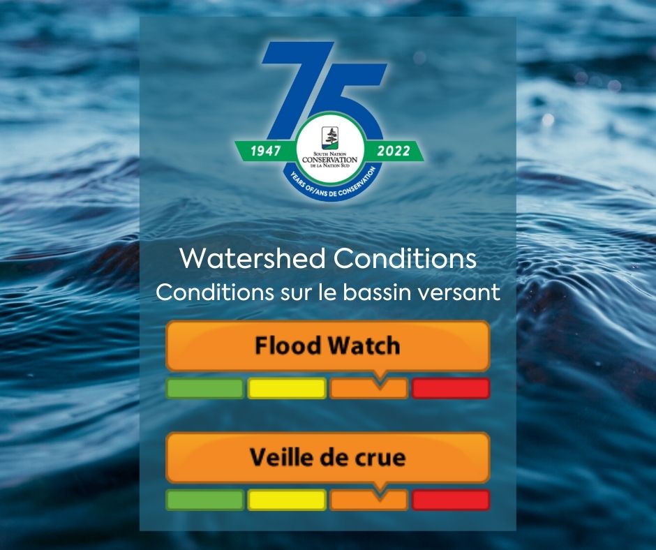 watershed conditions flood watch logo