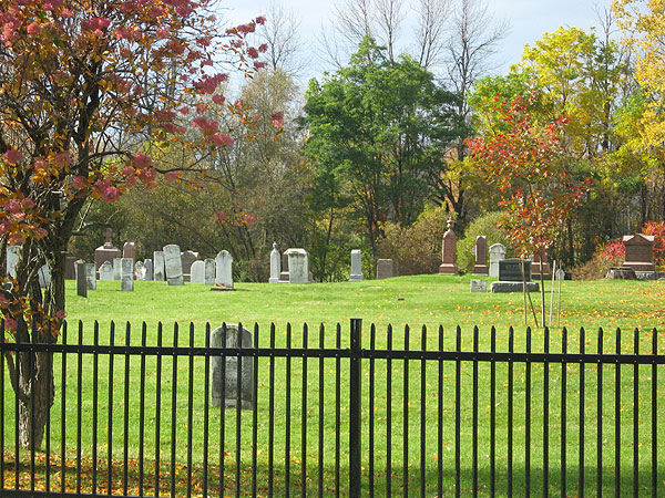 Maitland cemetery
