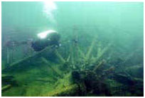 underwater photo of the shipwreck Rothesay