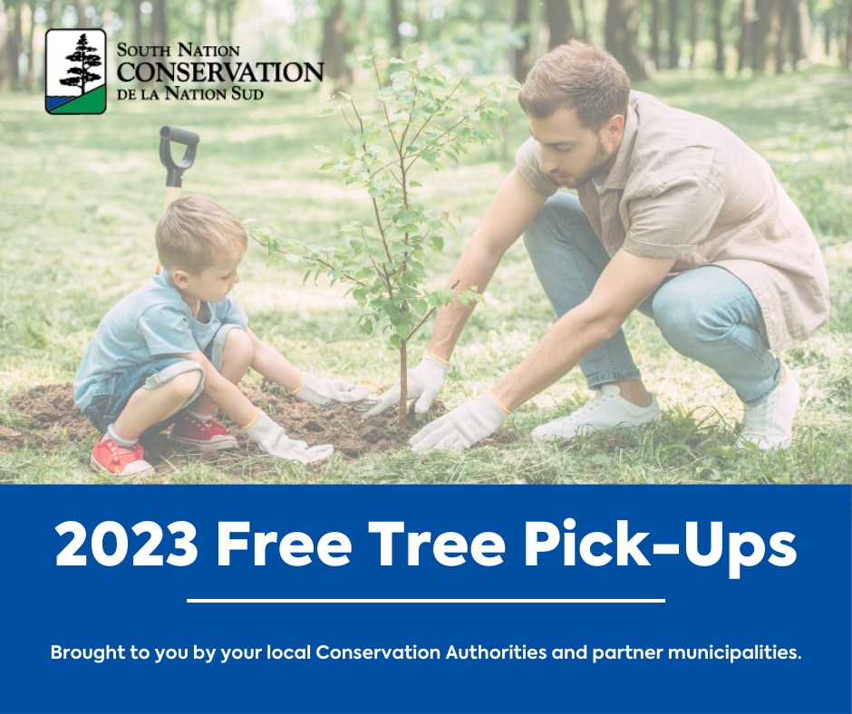 2023 free tree pick ups poster with a man and boy planting a tree